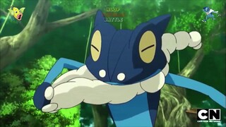 Frogadier VS Weepinbell | Pokemon Tournament Battle