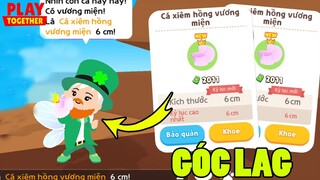 Bất Ngờ Phát Hiện Vị Trí Lỗi Câu Cá Xiêm Hồng Vươn Miện Lên Như Sao Biển | Play Together