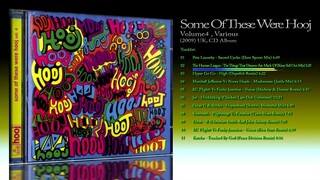 Some Of These Were Hooj Vol.4 (2009) Various [CD Album]