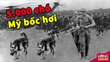 Bí ẩn biệt đội chó săn 5000 con của Mỹ bốc hơi tại Việt Nam | Hóng Khám Phá