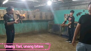 1. Unang tari, unang bitaw