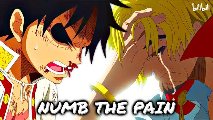 A Heartbreaking Duel! Sanji Vs Luffy『AMV』One Piece