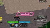 bloxfruit