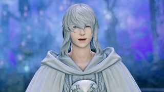 【FF14 if】沉浸式体验NPC告白