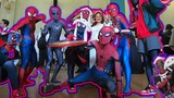[Vlog] Black Spider Miles "làm mưa làm gió" tại Comic Con! ?