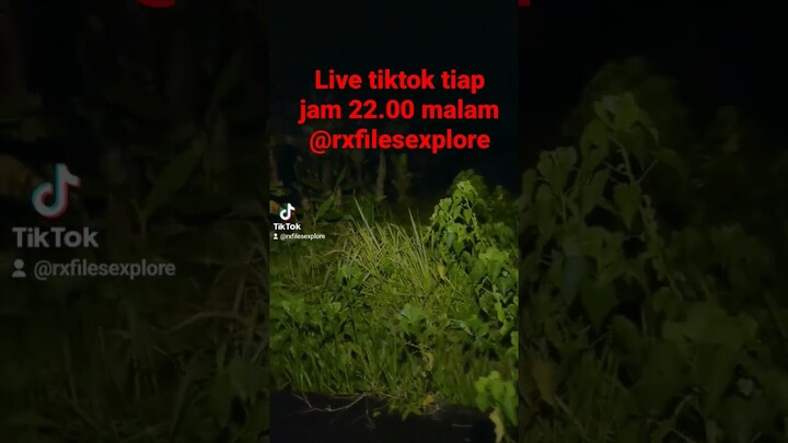 live tiap hari jam 22.00 di TIKTOK dan BIGO Live Indonesia