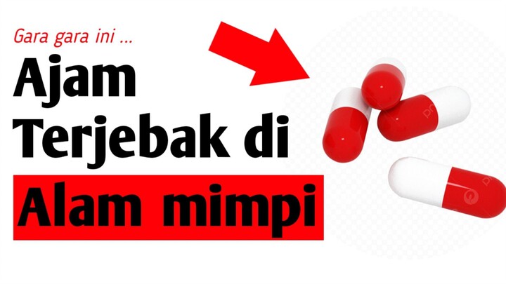 Ajam terjebak di alam mimpi || Animasi indonesia