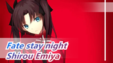 Fate/stay night|Shirou Emiya
