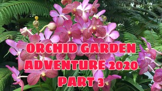 ORCHID GARDEN ADVENTURE 2022 PART 3