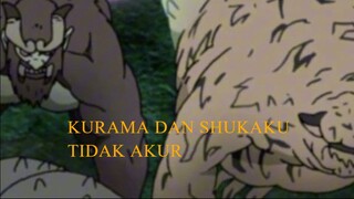 KURAMA DAN SHUKAKU TIDAK AKUR