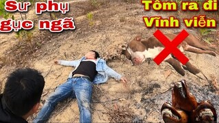 Kinh Hoàng Trước Hiện Trường Pitbull Tôm Bị Sát Hại, Sư Phụ Săn Bắt Ẩm Thực Vùng Cao Gục ngã