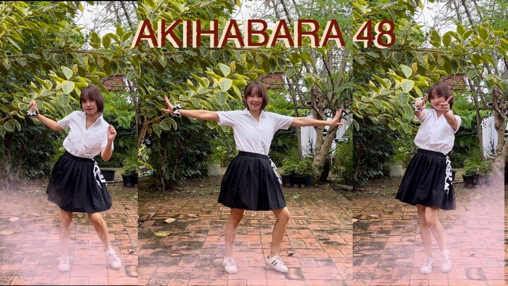 [PEAR] COVER AKIHABARA 48