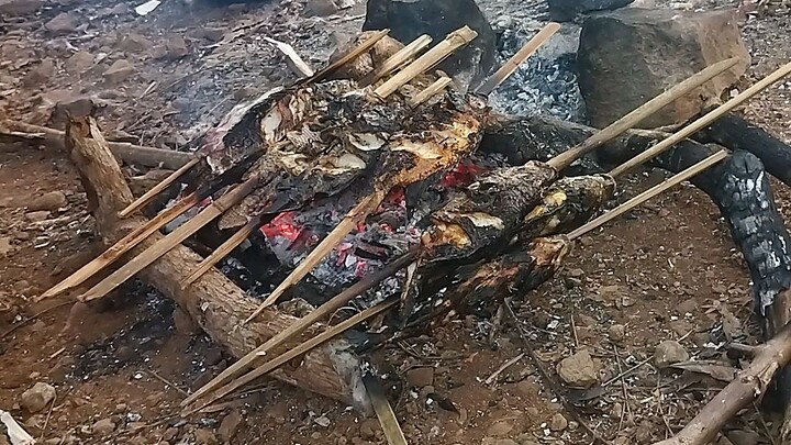 masak masak lagi