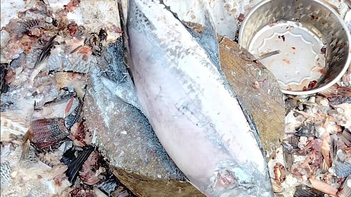 Processing King Fish/ Shurma Fish in Chattogram Bangladesh