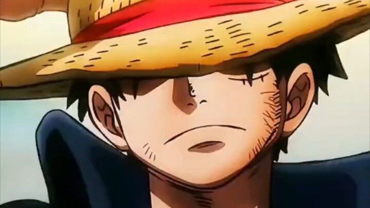 Luffy Mũ Rơm 🫣🌷