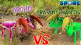 Praying Mantis vs Orchid Praying Mantis | Insect Warzone | SPORE