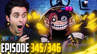 "LOOK AT THIS ZOMBIE SPIDER" One Piece Ep. 345,346 Live Reaction!