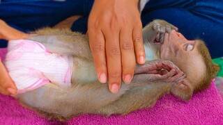 Tiny Toto really relax & joyful when Mom gently does massage for her