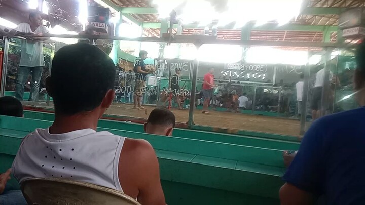 first fight halang Santa Maria Bulacan