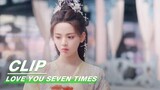 King Fried Combination This Lineup is Too Top | Love You Seven Times | 七时吉祥 | iQIYI