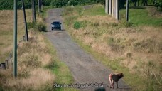 Byron Bay: Thị trấn người nổi tiếng EP 2 [Sub Việt]