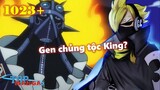 [One Piece 1023+]. Sanji được cấy Gen chủng tộc King? Haki quan sát cấp cao thức tỉnh?