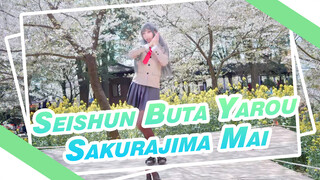 Mai's Debut Under Sakura! Bloom With the Dream | Rascal Does Not Dream of Bunny Girl Dance