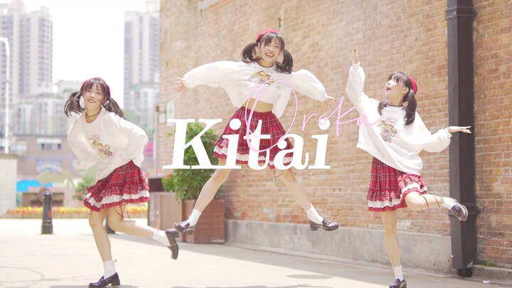 【蠢】Kitai★【五周年】