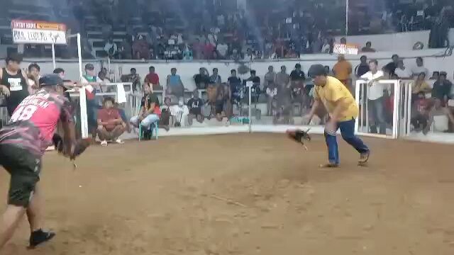 boss Lutero igay cockpit 2nd fight 2 hits ulutan champion