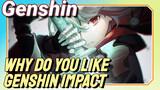 Why do you like Genshin Impact
