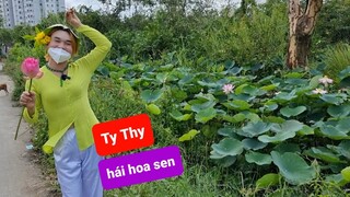 Ty Thy đi hái hoa sen, bông đậu biếc, cây trứng cá - Ty Thy Vlog gỏi đu đủ