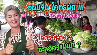 ขนมจีน โคตรผัก 100 โล ไม่พอ โคตรสะตอ ชะลอความแก่ เจ๊ติ๊ก ราชบุรี #Dummy_Channel