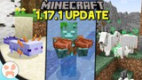 Everything Changed in the Minecraft 1.17.1 Update!