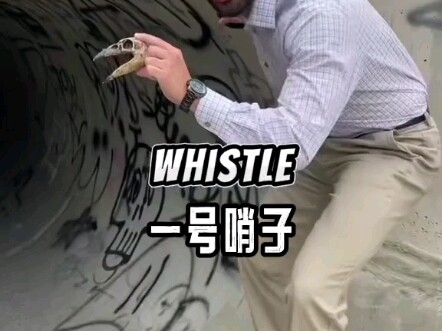 ⚡测试不同等级的恐怖哨子⚡