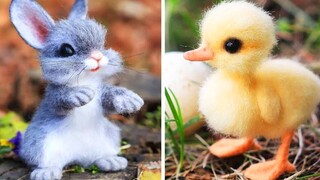 AWW Animals SOO Cute! Cute baby animals Videos Compilation Funniest and Cutest moment of animals #6