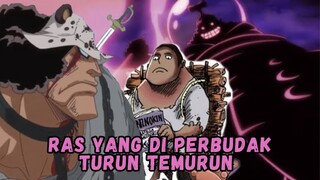 Penyebab Ras Kuma Di Jadikan Budak Oleh Tenryubito !!!