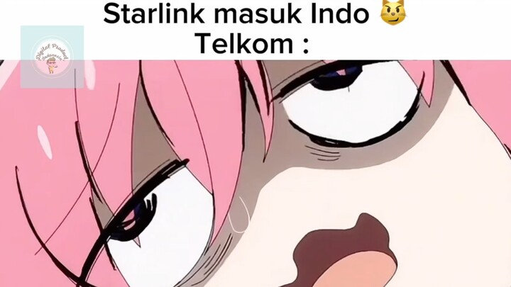 Telkom?, Starling? Kenapa banyak sekali hal bodoh dinegara ini!