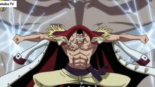 Top 10 Nhân Vật Mạnh Nhất Trong One Piece _ Hồ Sơ Nhân Vật- 2