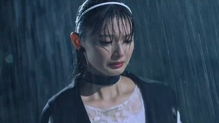 [Goddess's Child/Complete Edition] Kamen Rider Polar Fox & Queen Bee - Meta