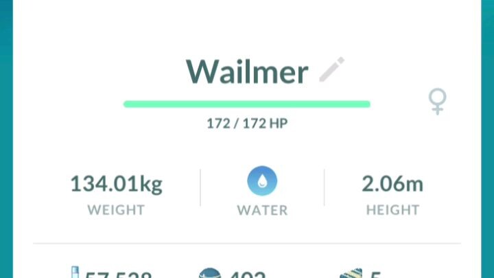 Wailmer