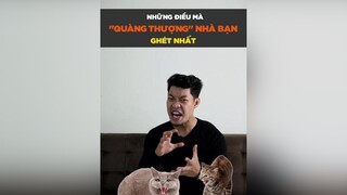 Những điều mà Mèo ghét nhất dcgr tuitienpet petonesaigon