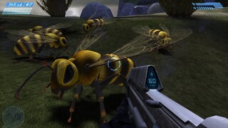 Giant Bees in Halo