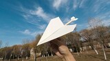 Pesawat kertas ras campuran dengan lubang otak besar, kombinasi terbaik pesawat kertas, Susan + DC03