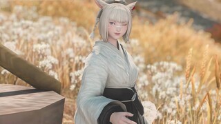 GMV/FF14】Cahaya -Orientasi pribadi gadis kucing