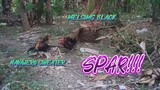 MELSIMS BLACK VS NAVAJERO SWEATER  SPAR!!      JRP BACKYARD