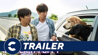 Official Trailer MY PUPPY 🐶 - Cinépolis Indonesia