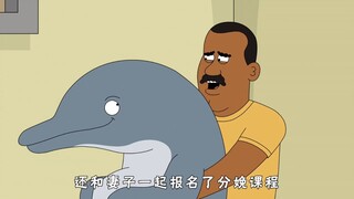 拔了海豚的菲茨?