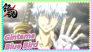 [Gintama]Blue Bird