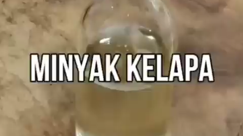 dari kelapa jd minyak goreng