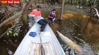 ⚡Tổng Hợp Những Tình Huống Kỳ Lạ Và Thú Vị Khiến Người Xem Hết Hồn